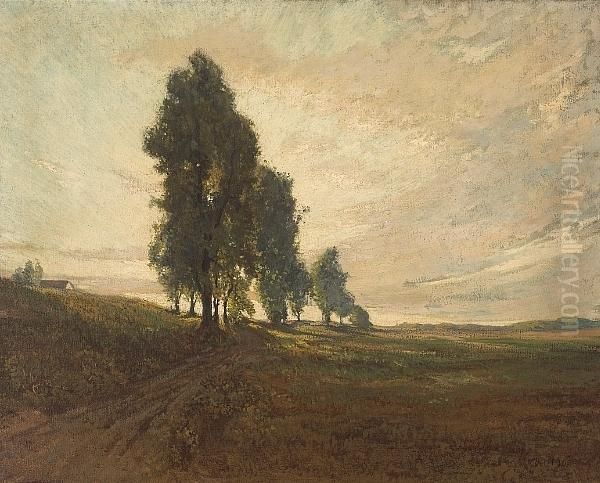 Country Road At Sunset - view 1