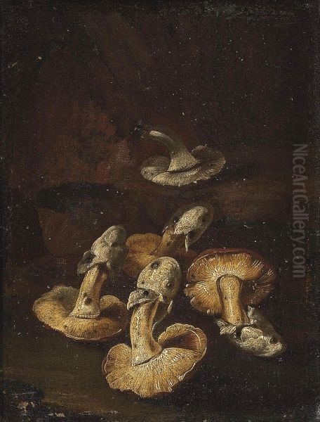 Mushrooms In A Landscape - view 1