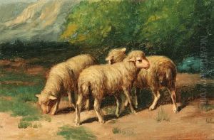 Sheep Grazing by C Del Zufo