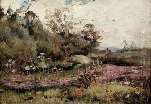 Vue De Paysage Fleuri