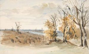 Arbres Et Riviere