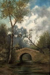 Pont Dans Un Sous Bois