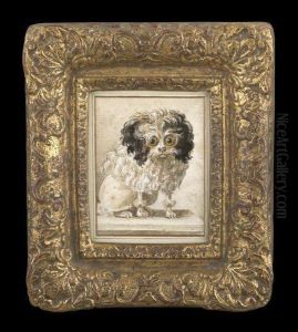 Portrait Of A Wide-eyed Poodle by Jacques Barthelemy Delamarre