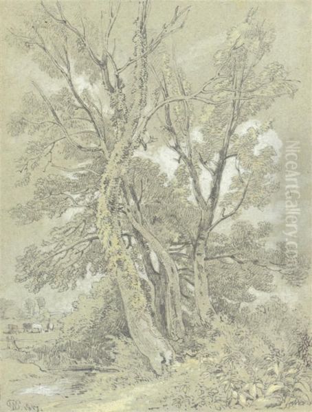 The River Bank, Sandhurst - view 1