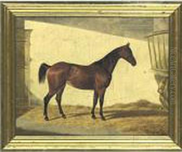 Bay Horse In A Stable - view 1
