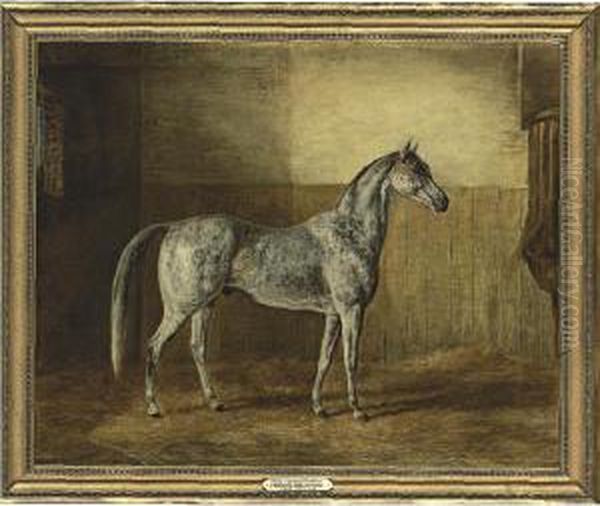 Jerry's Spotted Arabian - view 1