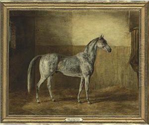 Jerry's Spotted Arabian by Henri Delattre