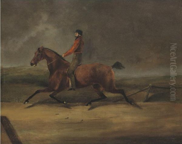 Flying Dutchman Ridden By Hiram Woodruff - view 1