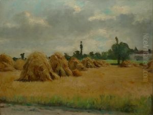 Bottes De Foin Au Soleil
