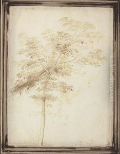 A Study Of A Tree by Fra Bartolommeo della Porta