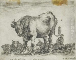 Il Toro Il Toro