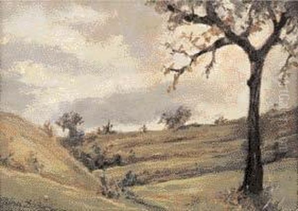 Paesaggio Collinare - view 1