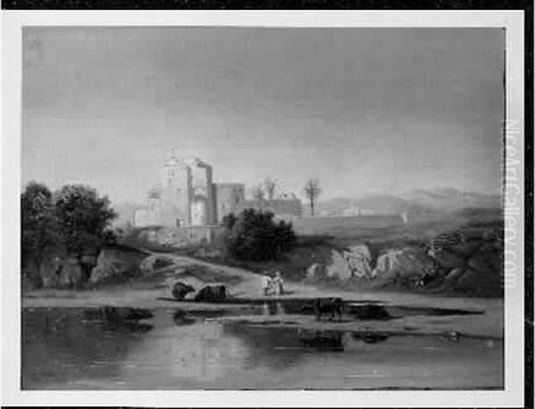 Buffles Dans La Riviere En Basse Egypte - view 1