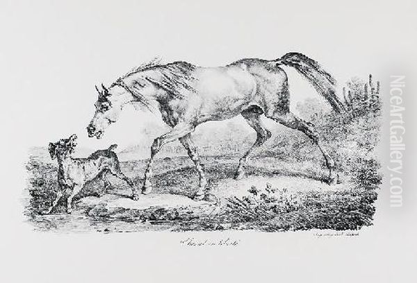 Kon I Pies (cheval En Liberte) - view 1