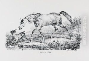 Kon I Pies (cheval En Liberte) by Francois Delpech