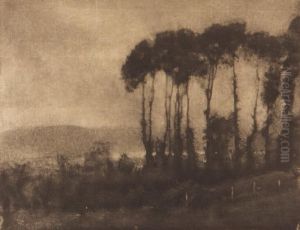 Vallee De La Toucques by Robert Demachy