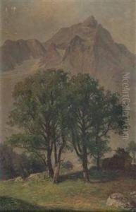 Der Ahornwald In Tirol by Franz Demel