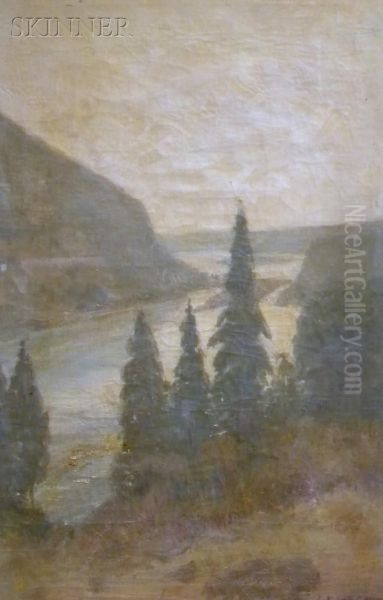 Pines And Coast - view 1