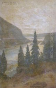 Pines And Coast