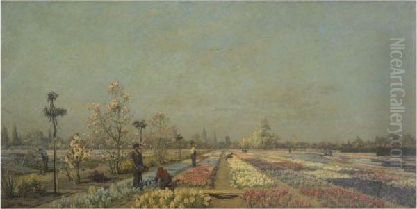 Tulip Fields - view 1