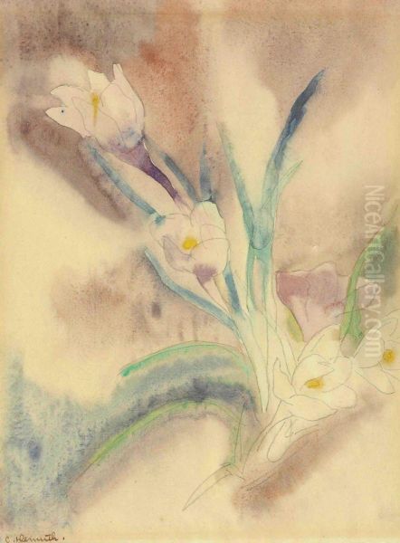 Crocuses - view 1