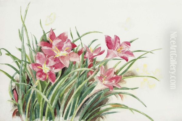 Pink Lilies And Butterflies - view 1