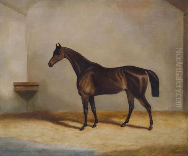 A Bay Racehorse In A Stable - view 1