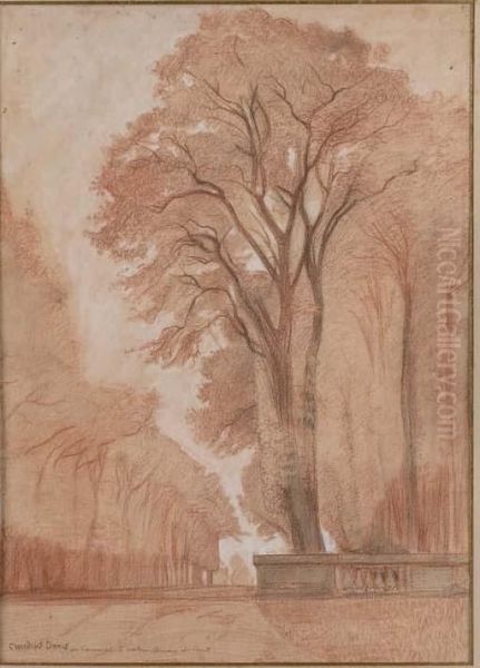 Dans L'allae - view 1