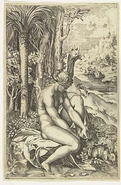 Venus Wounded By A Rose Thorn<</b> - view 1