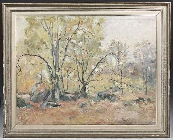 Paysage De Foret - view 1