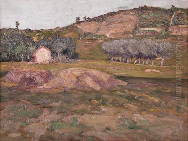 Colline Intorno A Canale - view 1