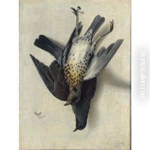 Still Life With Two Godwits Hanging From Nails On The Wall Still Life With Two Godwits Hanging From Nails On The Wall