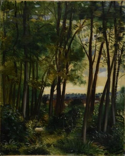 Sous-bois - view 1