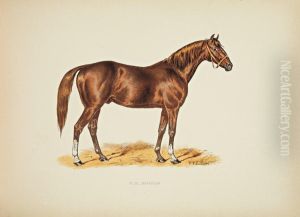 Les Chevaux De Course : Pedigree, Description,historique.