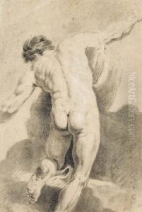 Homme Nu Vu De Dos Homme Nu Vu De Dos