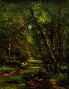 Sous-bois