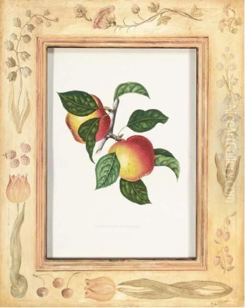 Annales De Pomologie Belge Et Etrangere - view 1