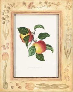 Annales De Pomologie Belge Et Etrangere Annales De Pomologie Belge Et Etrangere
