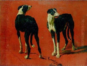 Etude De Levriers by Claude Francois Desportes