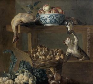 Chat Dans Un Garde-manger
