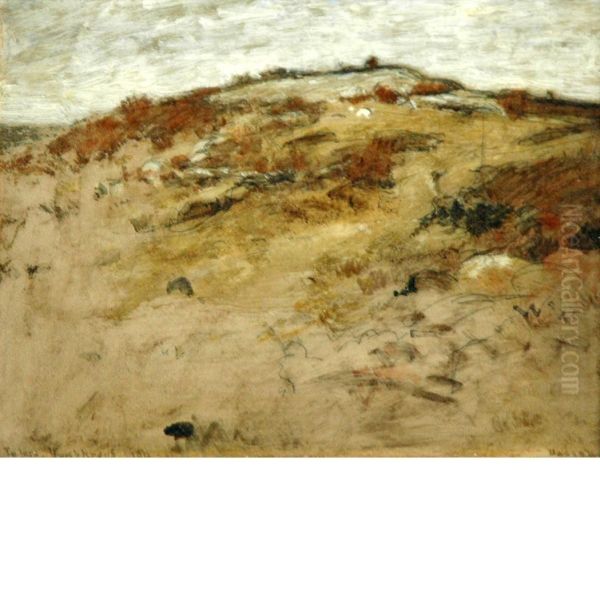 Dunes - view 1