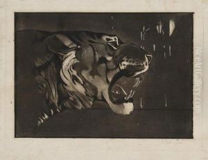 Tiger's Head Tiger's Head