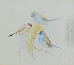 Studyof Three Finches Perced On An Ear Of Corn Studyof Three Finches Perced On An Ear Of Corn