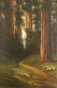 Path Through The Redwoods by Richard Detreville