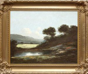 Marin Meadow by Richard Detreville