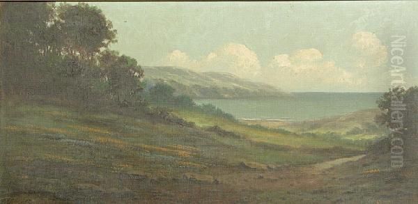 A Path To The Coast - view 1