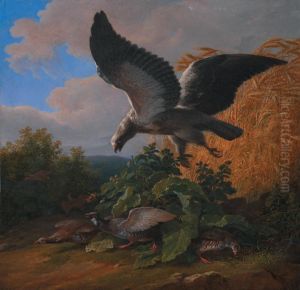 Buse S'attaquant A Une Compagnie De Perdrix by Jean-Charles Develly