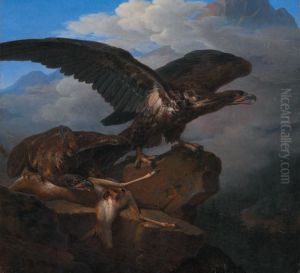 Couple D'aigles Et Leur Proie