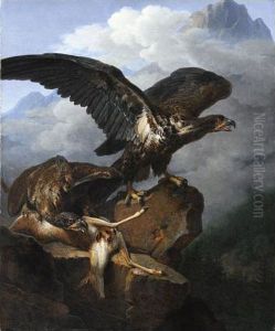 Aigles Avec Leur Proie