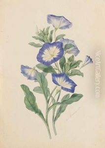 Bouquet De Fleurs by Laure Deveria